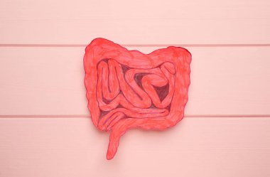 Pembe ahşap arka planda ince bağırsağın kağıt kesimi, üst manzara.