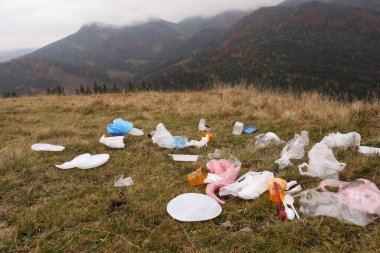 Doğada çimlere saçılmış plastik çöpler.