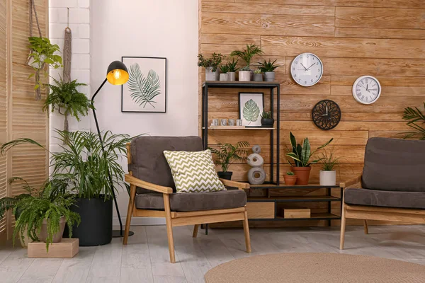 Interiorul Elegant Camerei Plante Verzi Frumoase Mobilier Confortabil — Fotografie, imagine de stoc