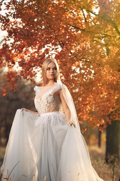Красива Дівчина Казковій Сукні Осінньому Лісі — стокове фото