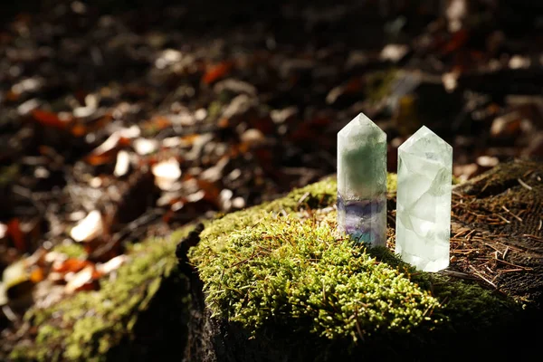 Beautiful quartz crystals on green moss in forest. Space for text