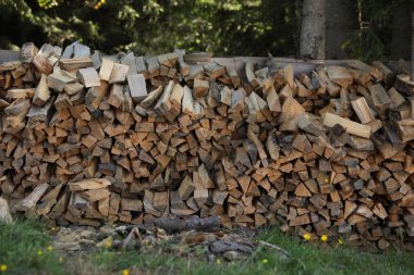 Yeşil çimlerin üzerinde kesilmiş odun yığını