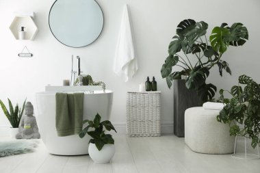 Modern küvetin, ev bitkilerinin ve güzel dekorun olduğu şık bir banyo. Ev tasarımı