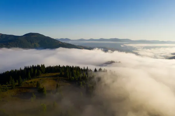 Piękny Krajobraz Gęstą Mgłą Lasem Górach Zdjęcia Dronów — Zdjęcie stockowe