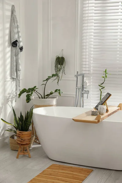 Élégante Baignoire Blanche Plantes Intérieur Vertes Dans Salle Bain Design — Photo