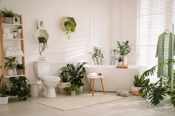 Interior Elegante Banheiro Branco Com Vaso Sanitário Plantas Sala Verdes — Fotografia de Stock