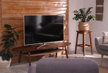 Şık bir oturma odası. Masada televizyon ve ev bitkileri var. 
