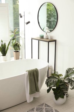 Modern küvet, konsol masası ve güzel ev bitkileriyle dolu şık bir banyo. Ev tasarımı