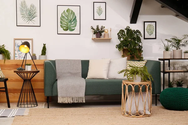 Stylový Interiér Obývacího Pokoje Pohodlnou Pohovkou Zelenými Rostlinami — Stock fotografie