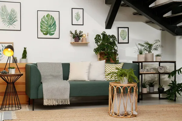 Snygg Vardagsrum Interiör Med Bekväm Soffa Och Gröna Växter — Stockfoto
