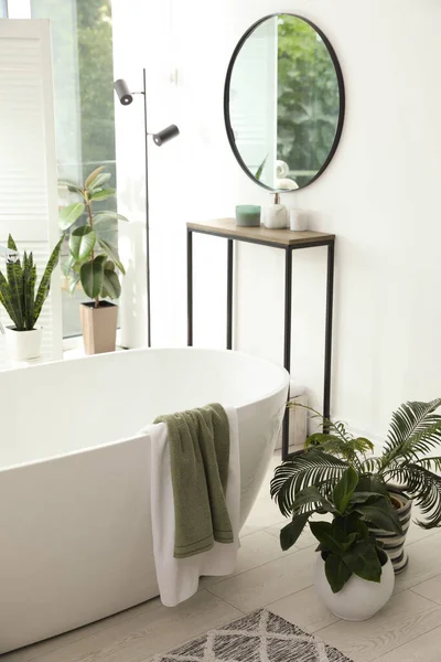Interior Elegante Banheiro Com Banheira Moderna Mesa Console Belas Plantas — Fotografia de Stock