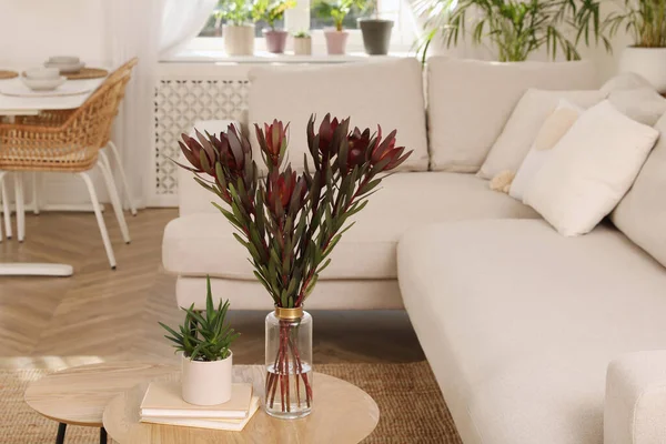 Gyönyörű Növények Asztalon Kanapé Mellett Nappaliban Belső Kialakítás — Stock Fotó