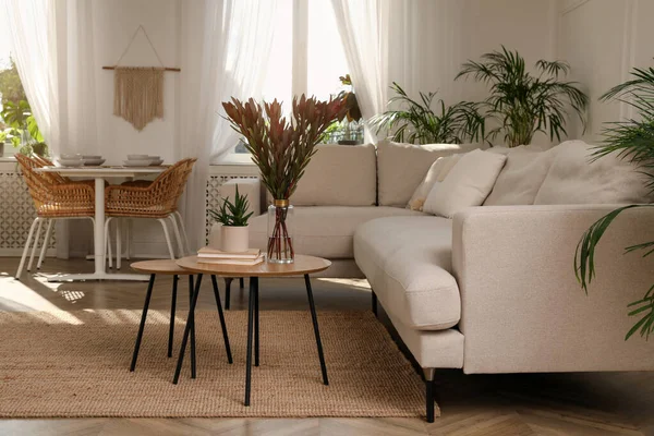 快適なソファと美しい観葉植物とスタイリッシュな部屋のインテリア — ストック写真