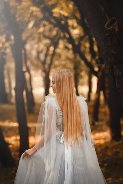 Красивая Девушка Сказочном Платье Осеннем Лесу Вид Сзади — стоковое фото
