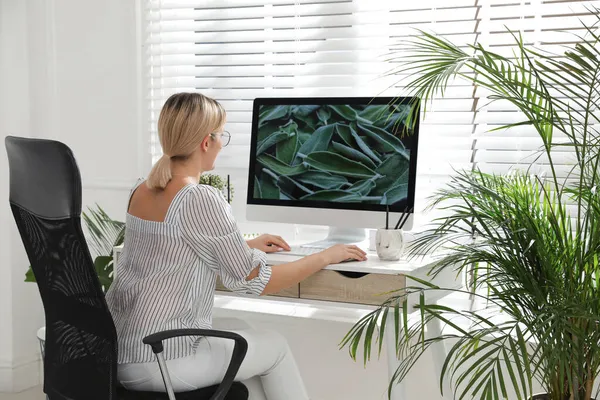 Een Vrouw Die Computer Aan Tafel Kamer Werkt Interieur Ontwerp — Stockfoto