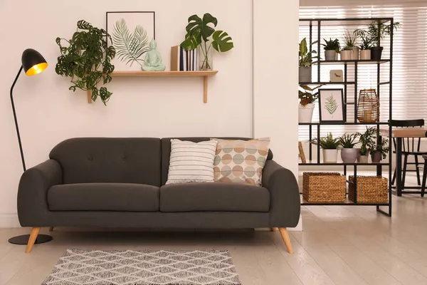 Interior Moderno Sala Estar Com Sofá Confortável Belas Plantas — Fotografia de Stock
