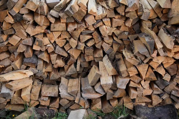 屋外の緑の芝生の上でカット薪のスタック — ストック写真