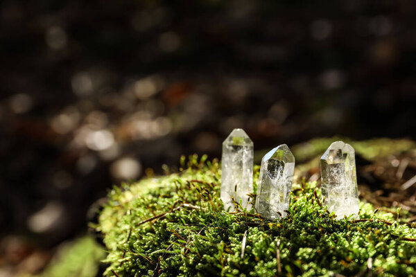 Clear quartz crystals on green moss in forest. Space for text