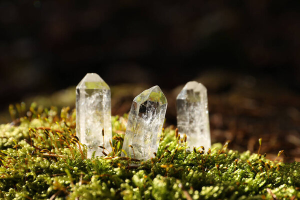 Clear quartz crystals on green moss in forest