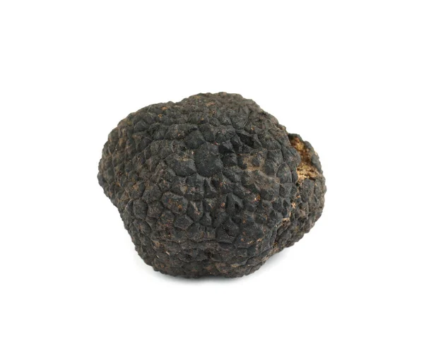 One Whole Black Truffle Isolated White — Stock Photo, Image