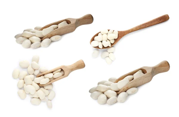 Set Uncooked Beans White Background — Stock Photo, Image