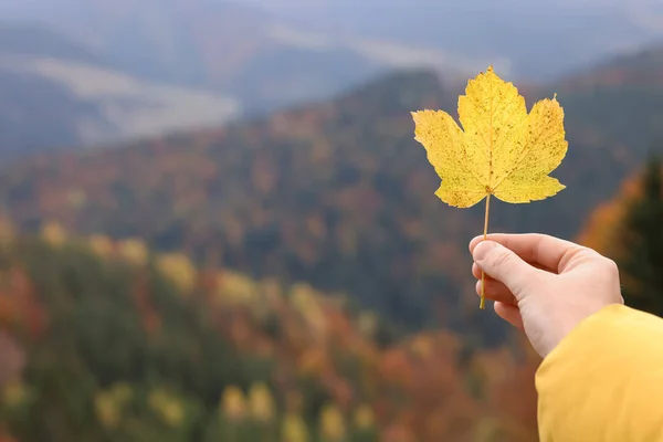 Kobieta Trzyma Piękny Jesienny Liść Górach Zbliżenie Miejsce Tekst — Zdjęcie stockowe
