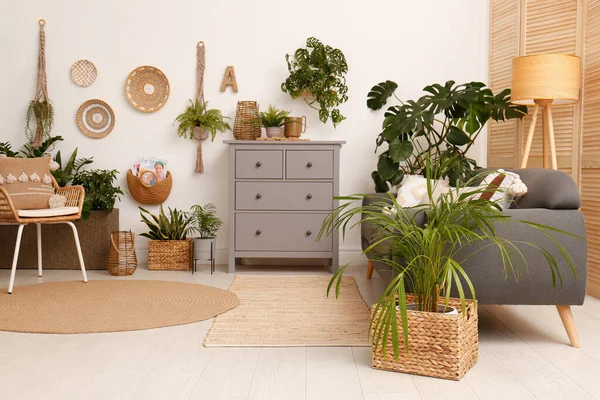 Salon Intérieur Avec Mobilier Élégant Plantes Vertes — Photo