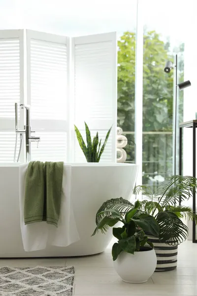 Élégant Intérieur Salle Bain Avec Baignoire Moderne Fenêtre Belles Plantes — Photo