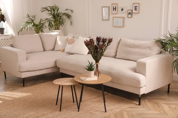 雅致的客厅 舒适的沙发和漂亮的室内植物 — 图库照片