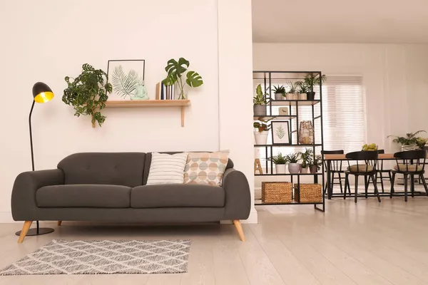 现代客厅内饰舒适的沙发和美丽的植物 — 图库照片