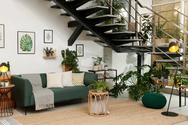 Elegante Salón Interior Con Cómodo Sofá Plantas Verdes — Foto de Stock