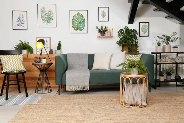 Sufragerie Elegantă Interior Canapea Confortabilă Plante Verzi — Fotografie, imagine de stoc