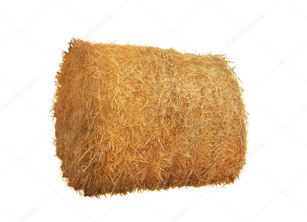 Big dried straw bale isolated on white