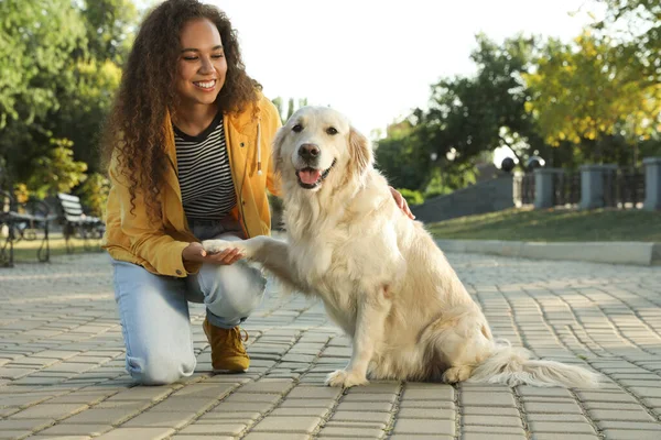 年轻的非洲裔美国女人和她在公园里的金毛猎犬 — 图库照片