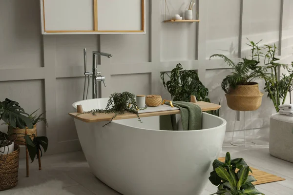 Yeşil bitkilerle dolu şık bir banyo. Ev tasarımı