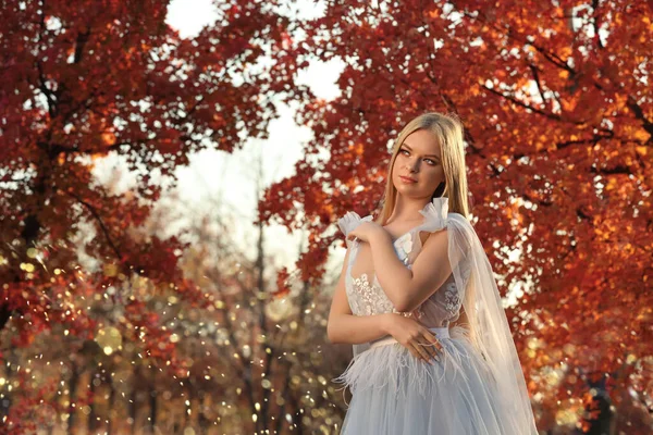 Belle Fille Portant Une Robe Fée Dans Forêt Automne — Photo