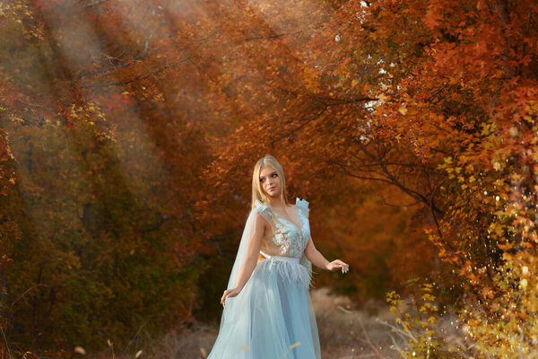 Beautiful girl wearing fairy dress in autumn forest