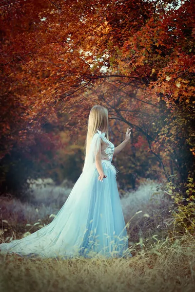 Beautiful Girl Wearing Fairy Dress Autumn Forest — Stock Photo, Image