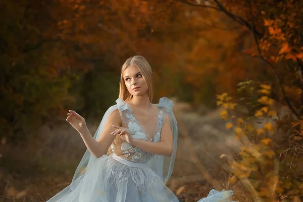 Belle Fille Portant Une Robe Fée Dans Forêt Automne — Photo