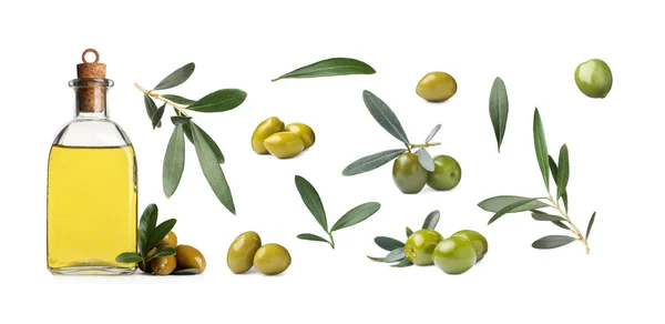 Bouteille Huile Olives Mûres Feuilles Sur Fond Blanc Collage Conception — Photo