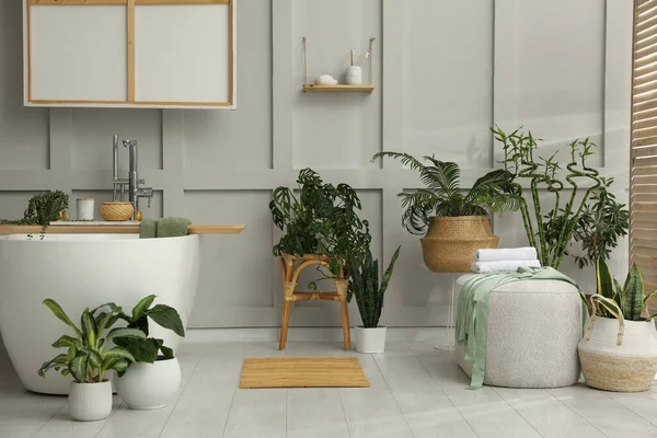Interior Elegante Casa Banho Com Plantas Verdes Home Design — Fotografia de Stock