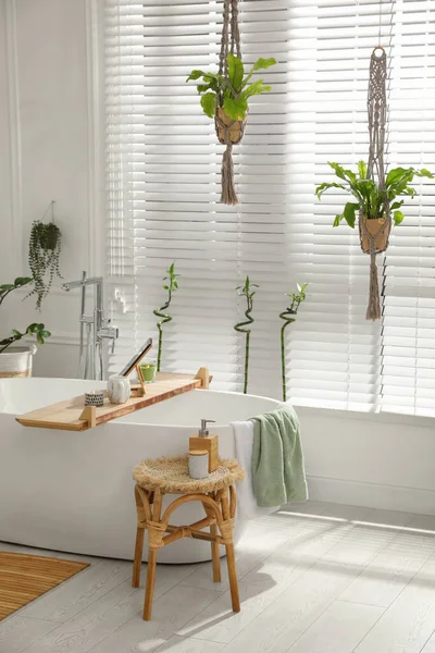Banheira Branca Elegante Plantas Sala Verdes Banheiro Design Interiores — Fotografia de Stock
