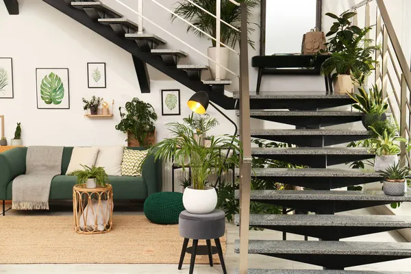 快適なソファと緑の植物とスタイリッシュなリビングルームのインテリア — ストック写真