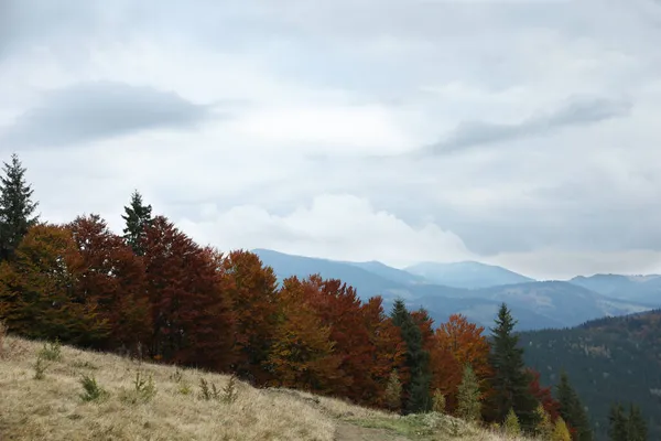 Vista Pitoresca Belas Montanhas Com Floresta Outono — Fotografia de Stock