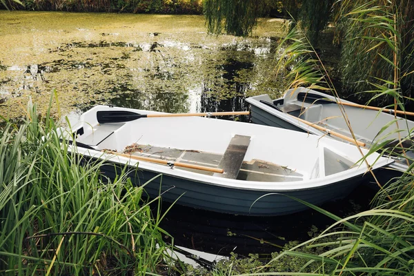 Moderne Boote Mit Holzrudern Auf Dem See — Stockfoto