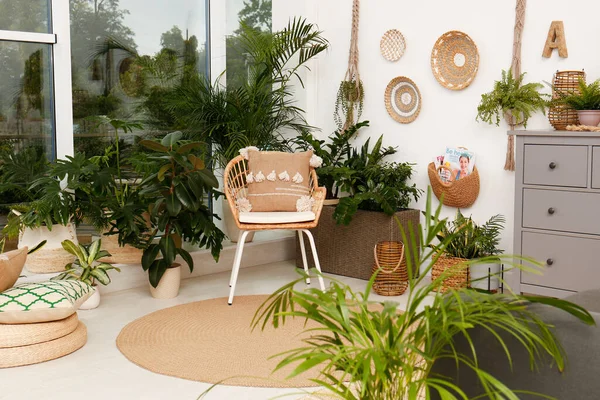 Interiér Pokoje Stylovým Nábytkem Zelenými Rostlinami — Stock fotografie