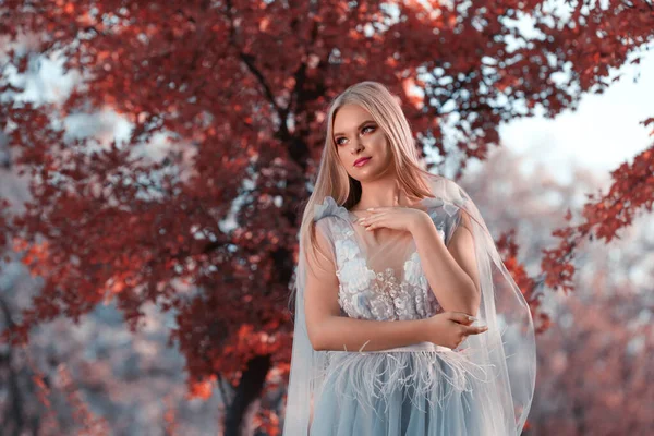 Piękna Dziewczyna Nosi Sukienkę Bajki Jesiennym Lesie — Zdjęcie stockowe