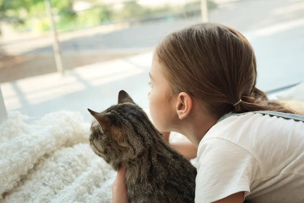 可爱的小女孩带着她的猫靠近窗户在家里 幼小的宠物 — 图库照片