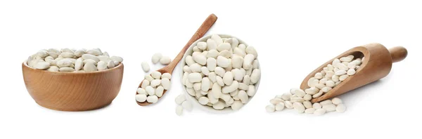 Set Uncooked Beans White Background Banner Design — Stock Photo, Image
