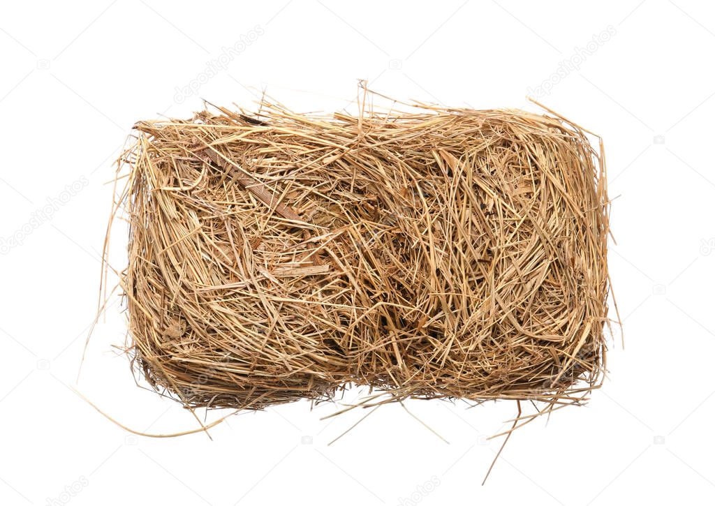 Small dried hay bale on white background, top view